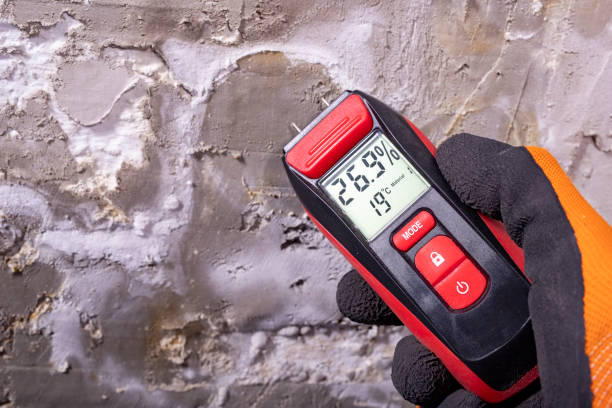 Best DIY Mold Remediation Support Services in Silver Bay, MN