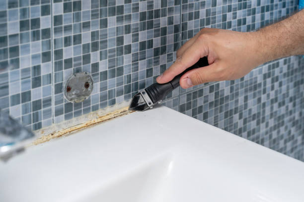 Best Mold Remediation for Schools in Silver Bay, MN